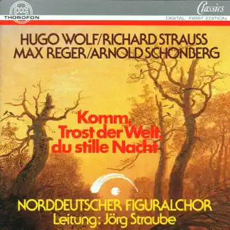 Komm, Trost Der Welt, Du Stille Nacht by Norddeutscher Figuralchor & Jörg Straube album reviews, ratings, credits