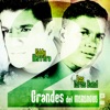 2 Grandes del Merengue, Vol. 4, 2008