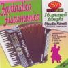 Fantastica Fisarmonica 16 Tanghi