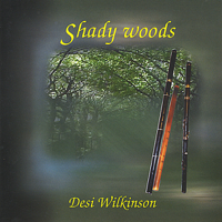 Desi Wilkinson - Shady Woods artwork