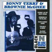 Sonny Terry & Brownie McGhee artwork