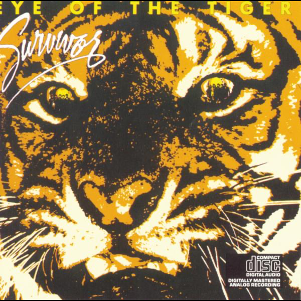 Awesome Eye Of The Tiger Song Download Pagalworld 