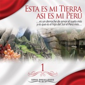 Contigo Perú (feat. Oscar Avilés) artwork
