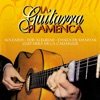 La Guitarra Flamenca