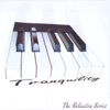 Beautiful New Age Piano Music: The Relaxation Series, 2010