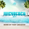 Juicy Beach 2011