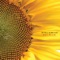 Spires - Windy & Carl lyrics