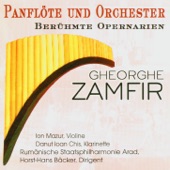 Panfloete und Orchester - Beruehmte Opernarien artwork