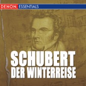 Die Winterreise, D. 911: IX. Irrlicht (In Die Tiefsten Felsengründe) artwork