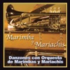 Marimba y Mariachis - Patrulla Alerta