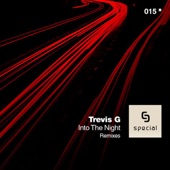 Into The Night (Original Mix) artwork