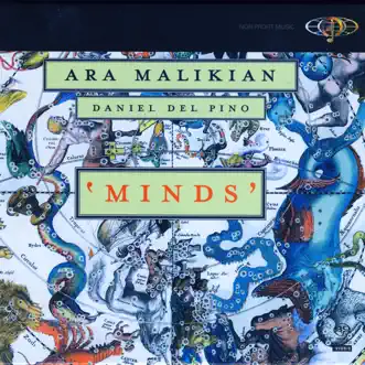 What inspires poetry. II. About calm and serenity by Ara Malikian & Daniel Del Pino song reviws