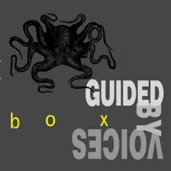 Box - Guided By Voices