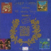 Weitere 15 starke Songs plus 2 Bonustracks, 1987-1994 (Best of Polo Hofer & die SchmetterBand)