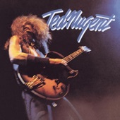 Ted Nugent - Stormtroopin'