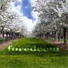 Foredeem - Single