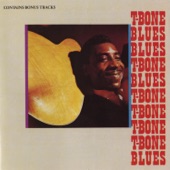 T-bone Walker - T-Bone Blues ( LP Version )