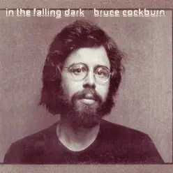 In the Falling Dark (Deluxe Edition) - Bruce Cockburn