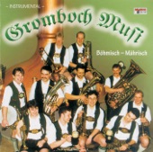 Böhmisch - Mährisch (Instrumental Version), 2008