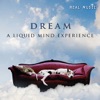 Dream - A Liquid Mind Experience, 2011