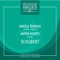 Sonate Pour Violon Et Piano en Ré Majeur: Allegro Vivace artwork