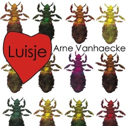 Arne Vanhaecke - Luisje
