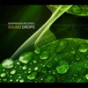 Sound Drops, 2011