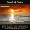 By the Sea: Ocean Waves for Relaxation - Single album lyrics, reviews, download