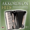 Akkordeon Hits - CD 3