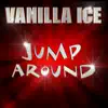 Stream & download Jump Around - Single