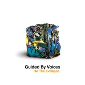 Guided By Voices - Mushroom Art