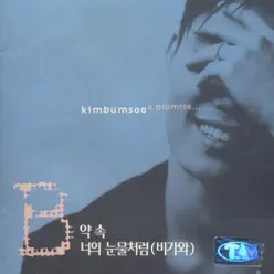 A Promise... - Kim Bum Soo A Promise... - Kim Bum Soo