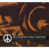 Big Sam's Funky Nation - Dozenland