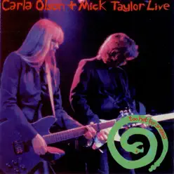 Too Hot for Snakes (Live) - Mick Taylor