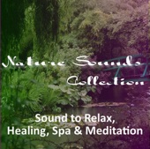 Nature Sounds Collection (Relax, Healing, Spa, Meditation)