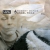 Robert Manos - With No End