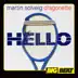 Hello (Michael Woods Remix) song reviews