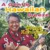 A Gentle Hawaiian Breeze ~The Best of Slack Key Guitar Songs~