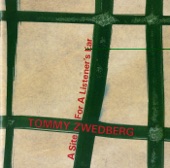 Zwedberg: A Site for a Listenier's Ear artwork