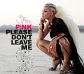 Please Don't Leave Me - Single