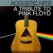 Acoustic Hits - A Tribute To Pink Floyd - Lacey & Sara