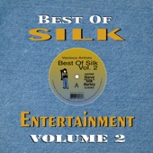 Best of Silk Entertainment, Vol. 2 artwork