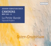 Bach: Cantatas for the Complete Ligurgical Year, Vol. 13 artwork