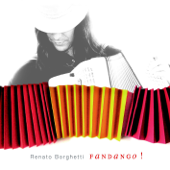 Passo Fundo - Renato Borghetti