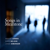 Songs in Meantone artwork