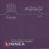 Lucia - Magnificat artwork