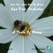 A Taste Of Honey - Syd Dale & Syd Dale Strings Unlimited lyrics