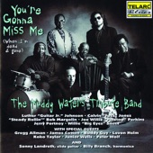 Muddy Waters Tribute Band - I Don't Know Why