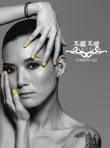 不能不爱...卢巧音精选