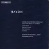Haydn: Music for Prince Esterhazy and the King of Naples - Scherzandi - Divertimenti - Concertos for 2 Lire Organizzate album lyrics, reviews, download